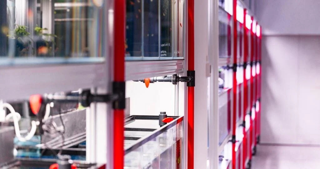 WHOLESALE AQUARIUM FISH WHOLESALE AQUARIUM FISH